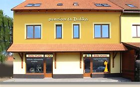 Penzion U Dulika
